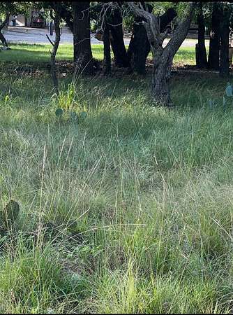 0.05 Acres of Land for Sale in May, Texas