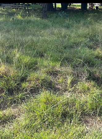 0.05 Acres of Land for Sale in May, Texas