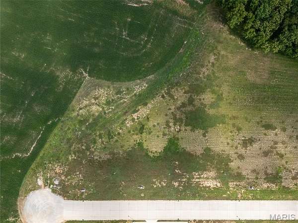 0.38 Acres of Residential Land for Sale in Waterloo, Illinois