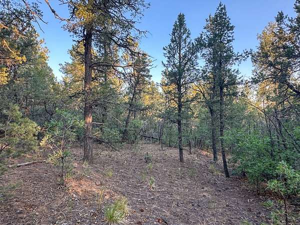 10.5 Acres of Recreational Land for Sale in Tijeras, New Mexico