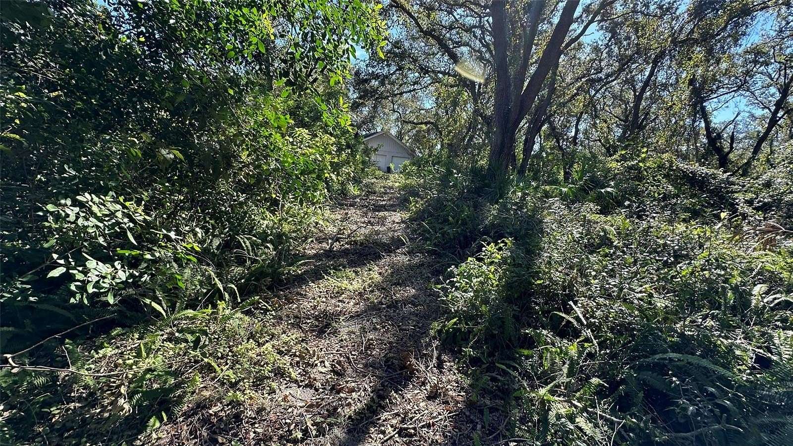 4.19 Acres of Residential Land for Sale in Palm Harbor, Florida
