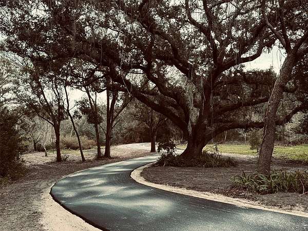 4.19 Acres of Residential Land for Sale in Palm Harbor, Florida