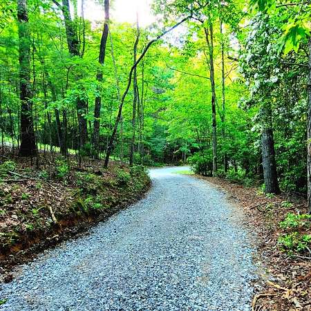 5.23 Acres of Land for Sale in Morganton, Georgia