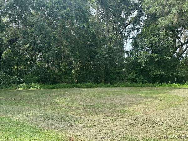 0.5 Acres of Land for Sale in Hernando, Florida