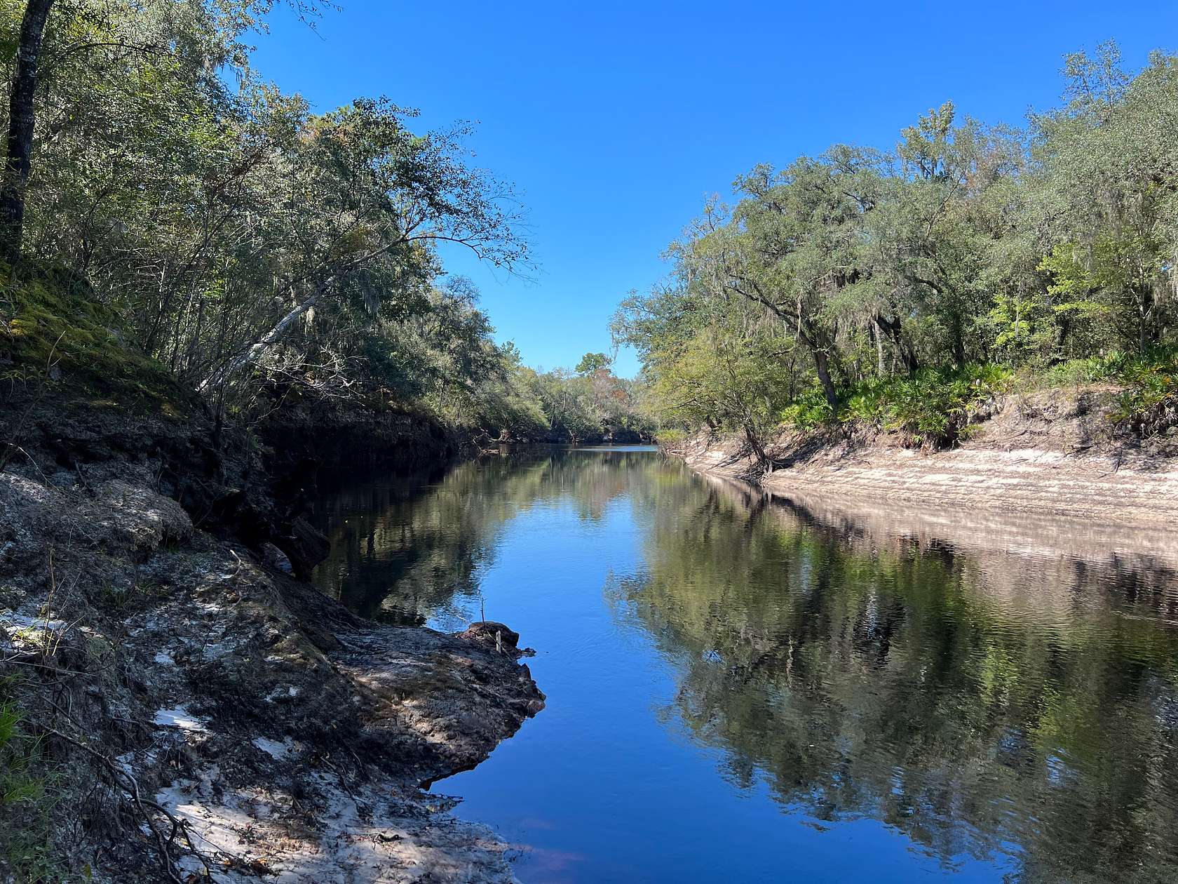 22.5 Acres of Recreational Land for Sale in White Springs, Florida