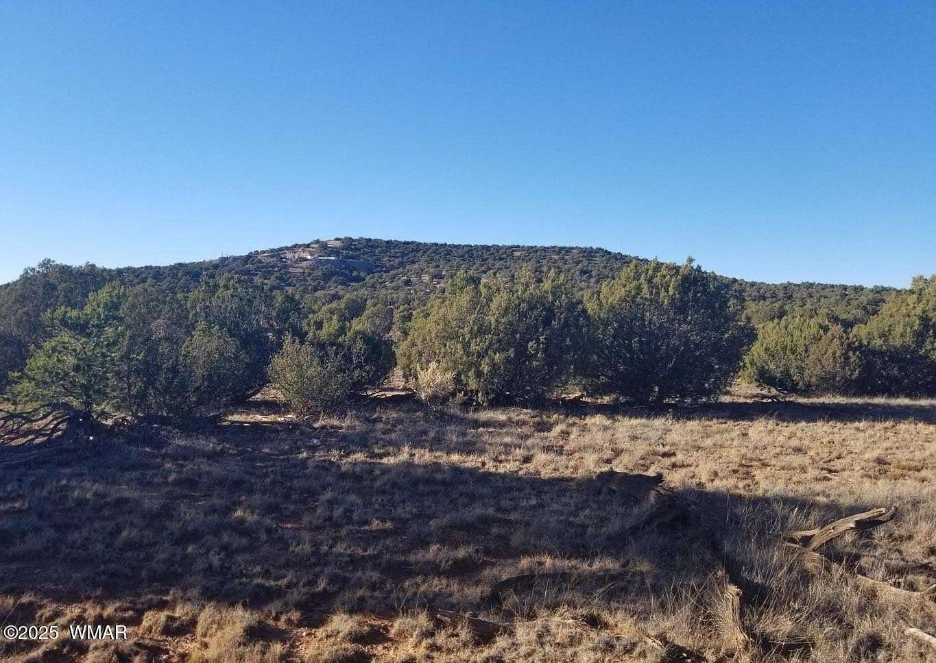 1.36 Acres of Residential Land for Sale in Concho, Arizona