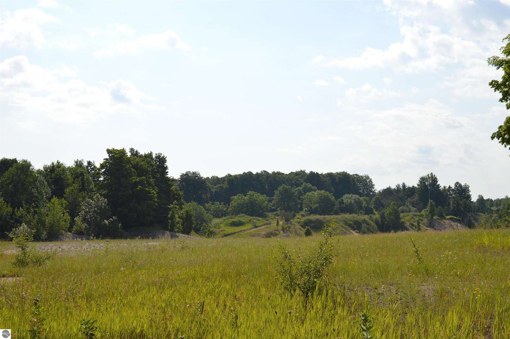 77 Acres of Land for Sale in Bellaire, Michigan
