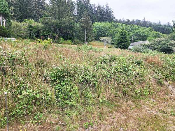 0.25 Acres of Residential Land for Sale in Crescent City, California