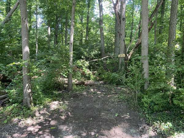 0.29 Acres of Residential Land for Sale in Indianapolis, Indiana