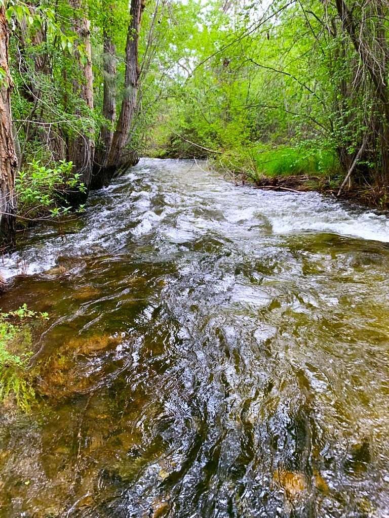 70 Acres of Land with Home for Sale in Victor, Montana