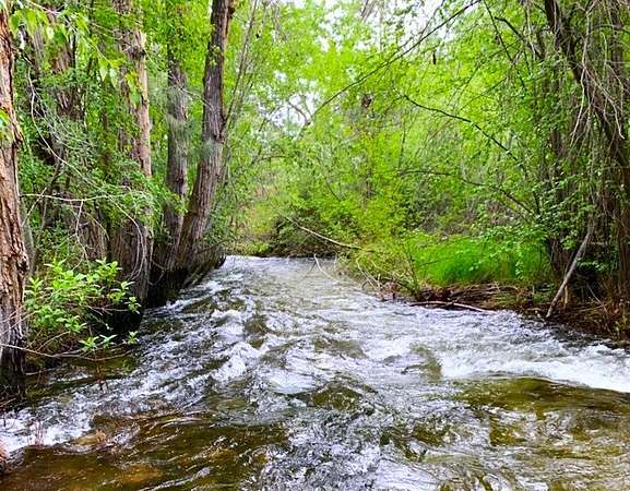70 Acres of Land with Home for Sale in Victor, Montana