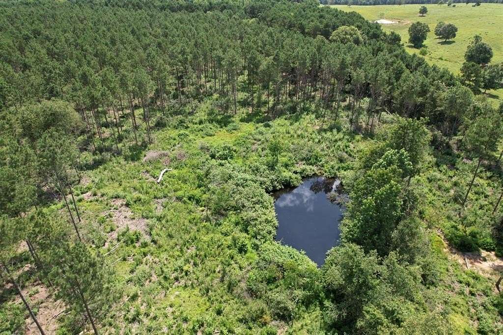 75 Acres of Recreational Land & Farm for Sale in Tenaha, Texas