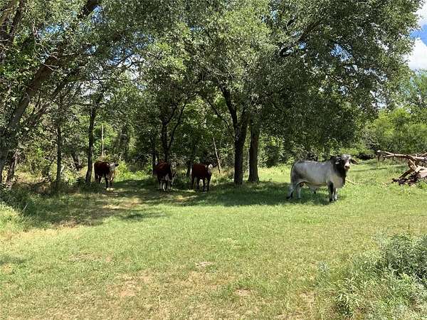 24.5 Acres of Agricultural Land for Sale in Blanket, Texas