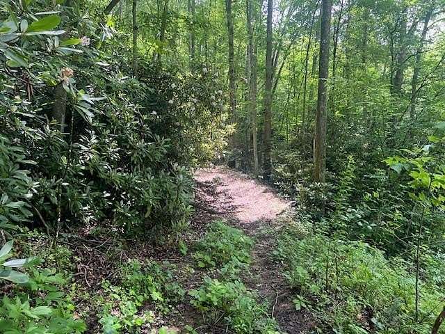 Land for Sale in Fayetteville, West Virginia