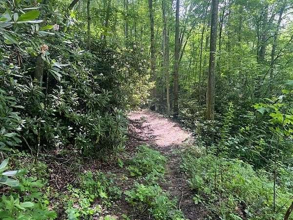 Land for Sale in Fayetteville, West Virginia