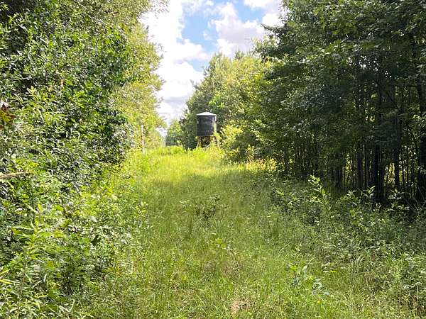 75 Acres of Recreational Land & Farm for Sale in Oberlin, Louisiana