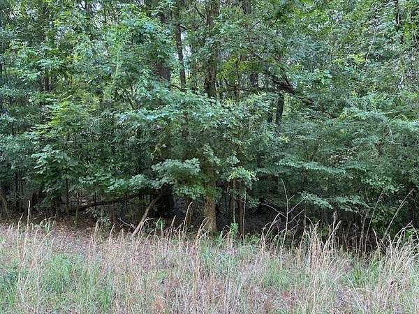 4.28 Acres of Residential Land for Sale in Macon, Georgia