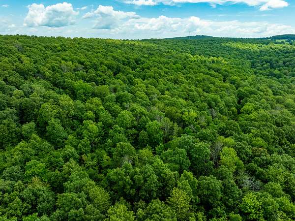 80 Acres of Recreational Land for Sale in Leslie, Arkansas