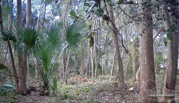 0.17 Acres of Land for Sale in Pensacola, Florida