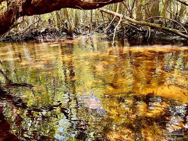 10.2 Acres of Recreational Land for Sale in Pace, Florida