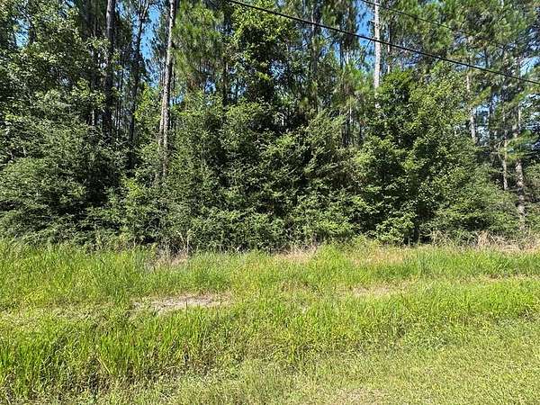 0.27 Acres of Land for Sale in Bay St. Louis, Mississippi