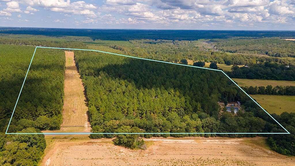 43 Acres of Recreational Land for Sale in Wagener, South Carolina