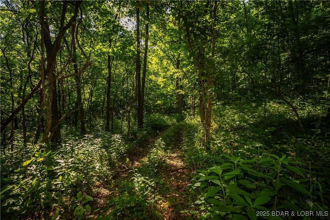 80 Acres of Land for Sale in Stover, Missouri