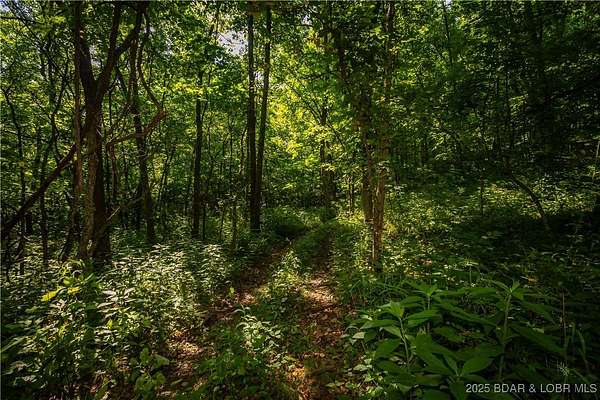 80 Acres of Land for Sale in Stover, Missouri