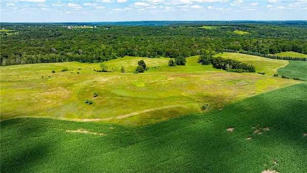 135 Acres of Land for Sale in May Township, Minnesota