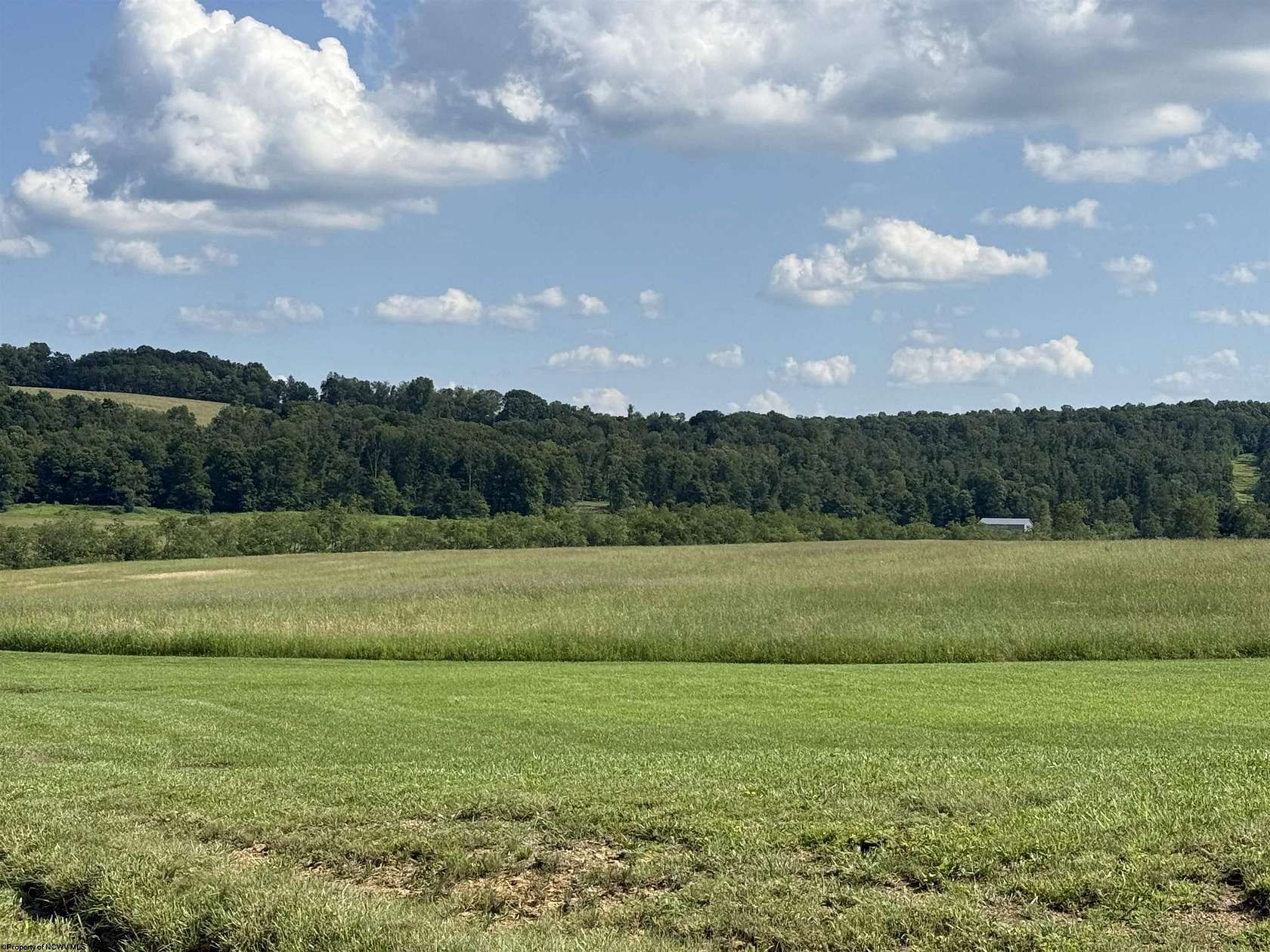 20 Acres of Agricultural Land for Sale in Bruceton Mills, West Virginia