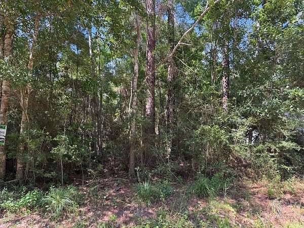 0.15 Acres of Land for Sale in Bay St. Louis, Mississippi
