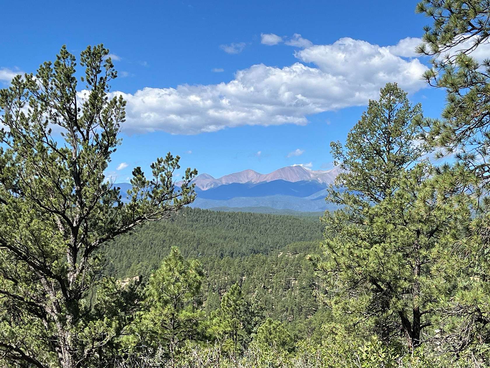 35 Acres of Land for Sale in Weston, Colorado