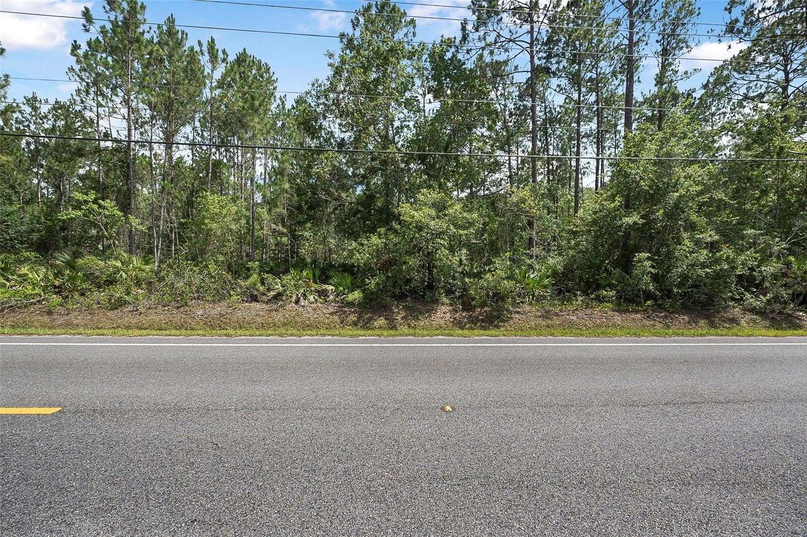 1.14 Acres of Residential Land for Sale in Bunnell, Florida