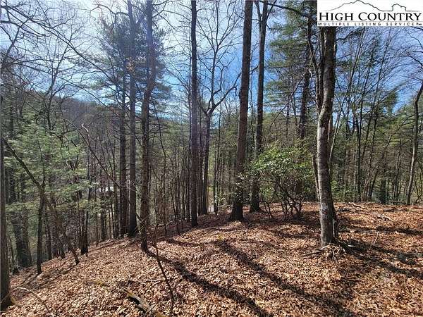 1 Acre of Residential Land for Sale in Fleetwood, North Carolina