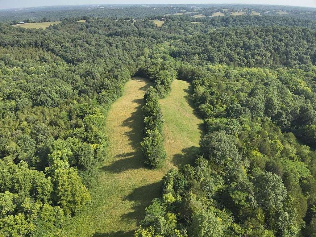 155 Acres of Land for Sale in Falmouth, Kentucky