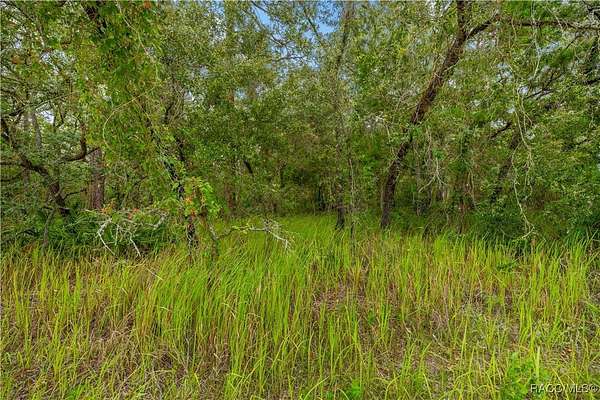 1.19 Acres of Residential Land for Sale in Weeki Wachee, Florida