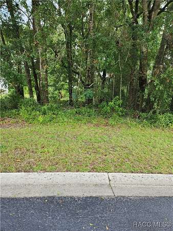 0.31 Acres of Land for Sale in Dunnellon, Florida