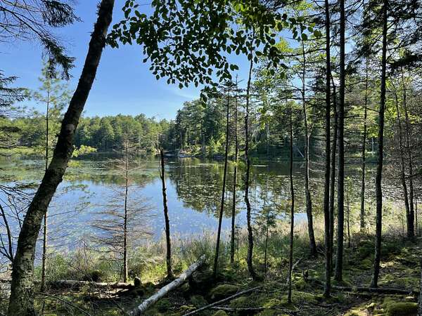 5 Acres of Land for Sale in Mount Desert Town, Maine
