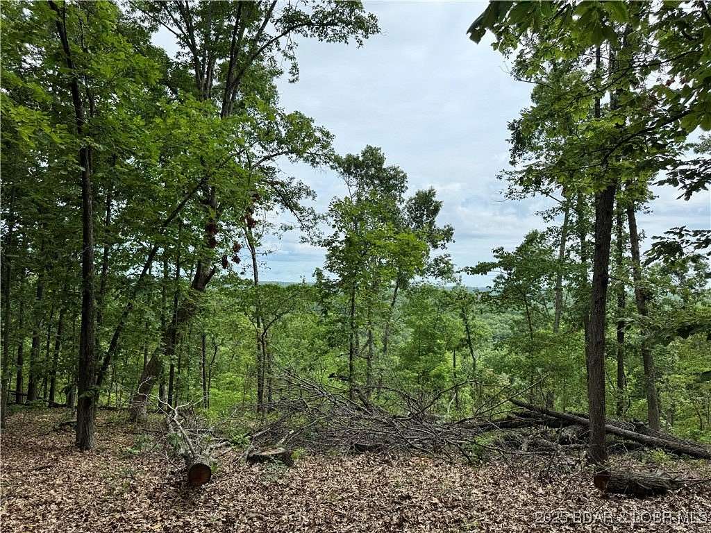 17 Acres of Recreational Land for Sale in Roach, Missouri