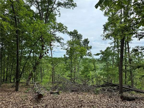 17 Acres of Recreational Land for Sale in Roach, Missouri