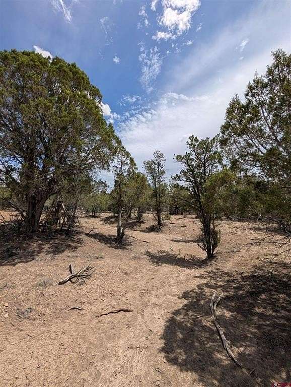 2 Acres of Land for Sale in Pagosa Springs, Colorado