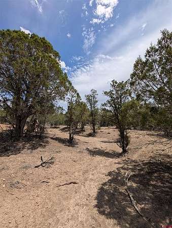 2 Acres of Residential Land for Sale in Pagosa Springs, Colorado