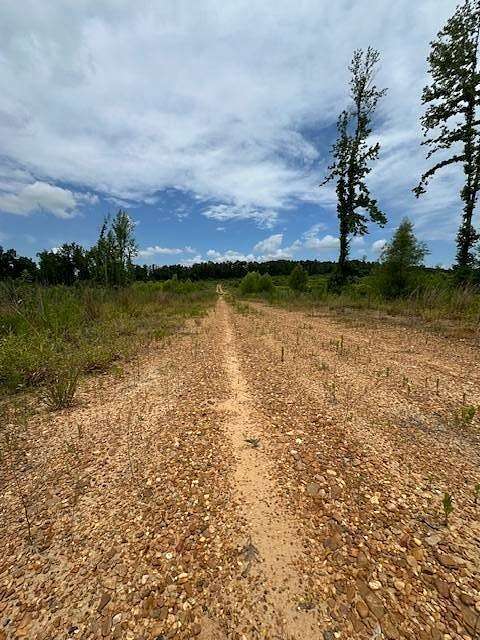70 Acres of Recreational Land for Sale in Goodman, Mississippi