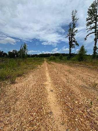 70 Acres of Recreational Land for Sale in Goodman, Mississippi