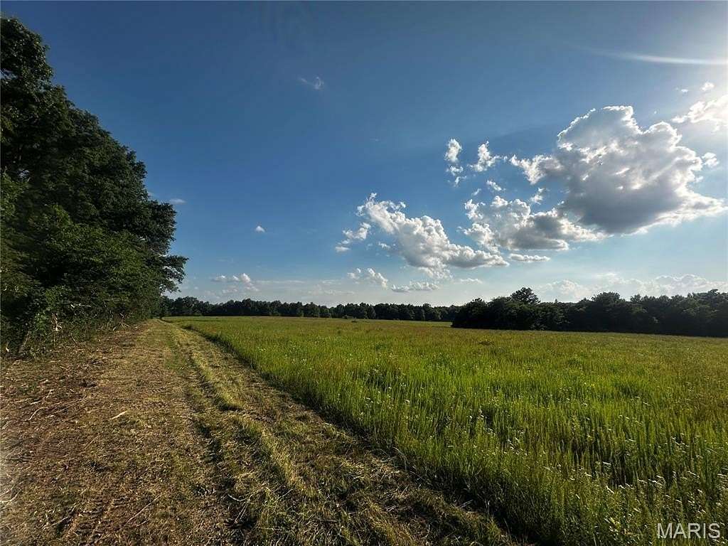 15.5 Acres of Land for Sale in Mexico, Missouri