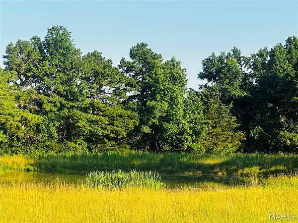 15.2 Acres of Land for Sale in Mexico, Missouri