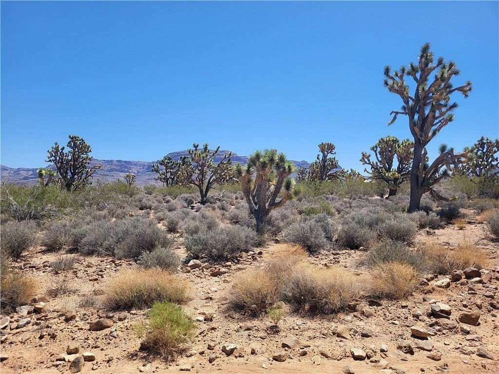 1.15 Acres of Land for Sale in Meadview, Arizona