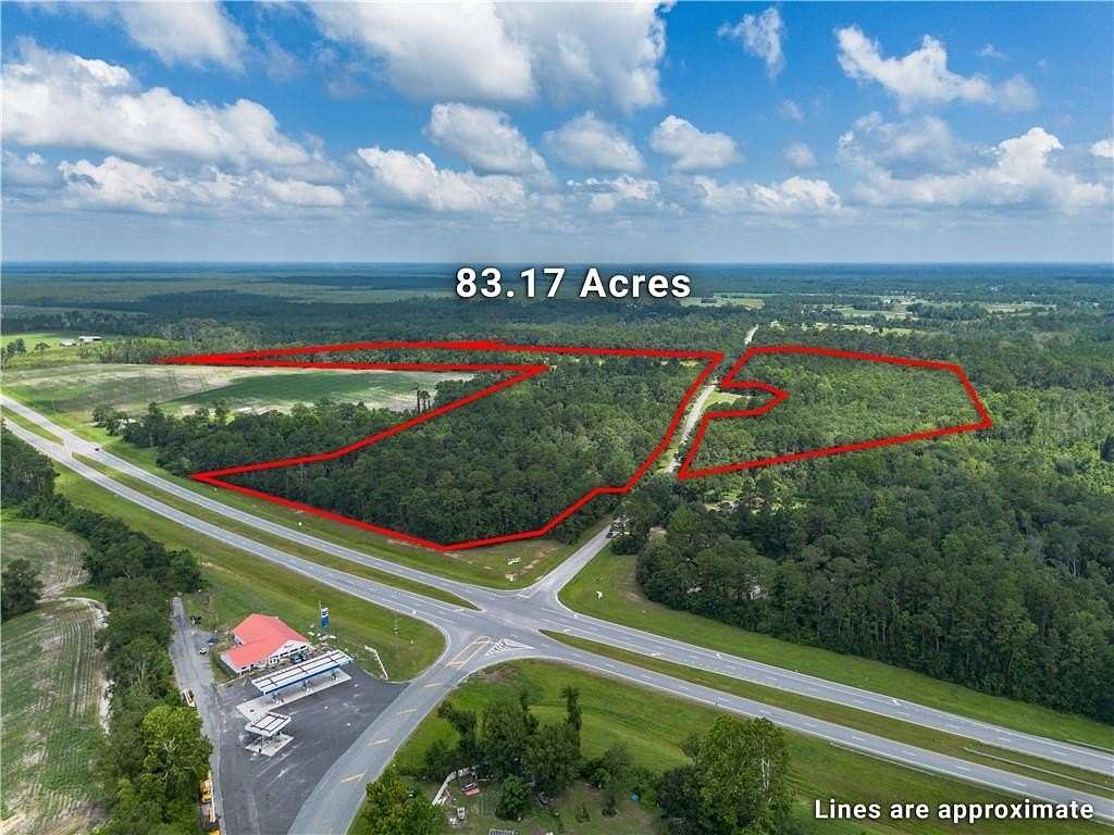 83.2 Acres of Land for Sale in Waycross, Georgia