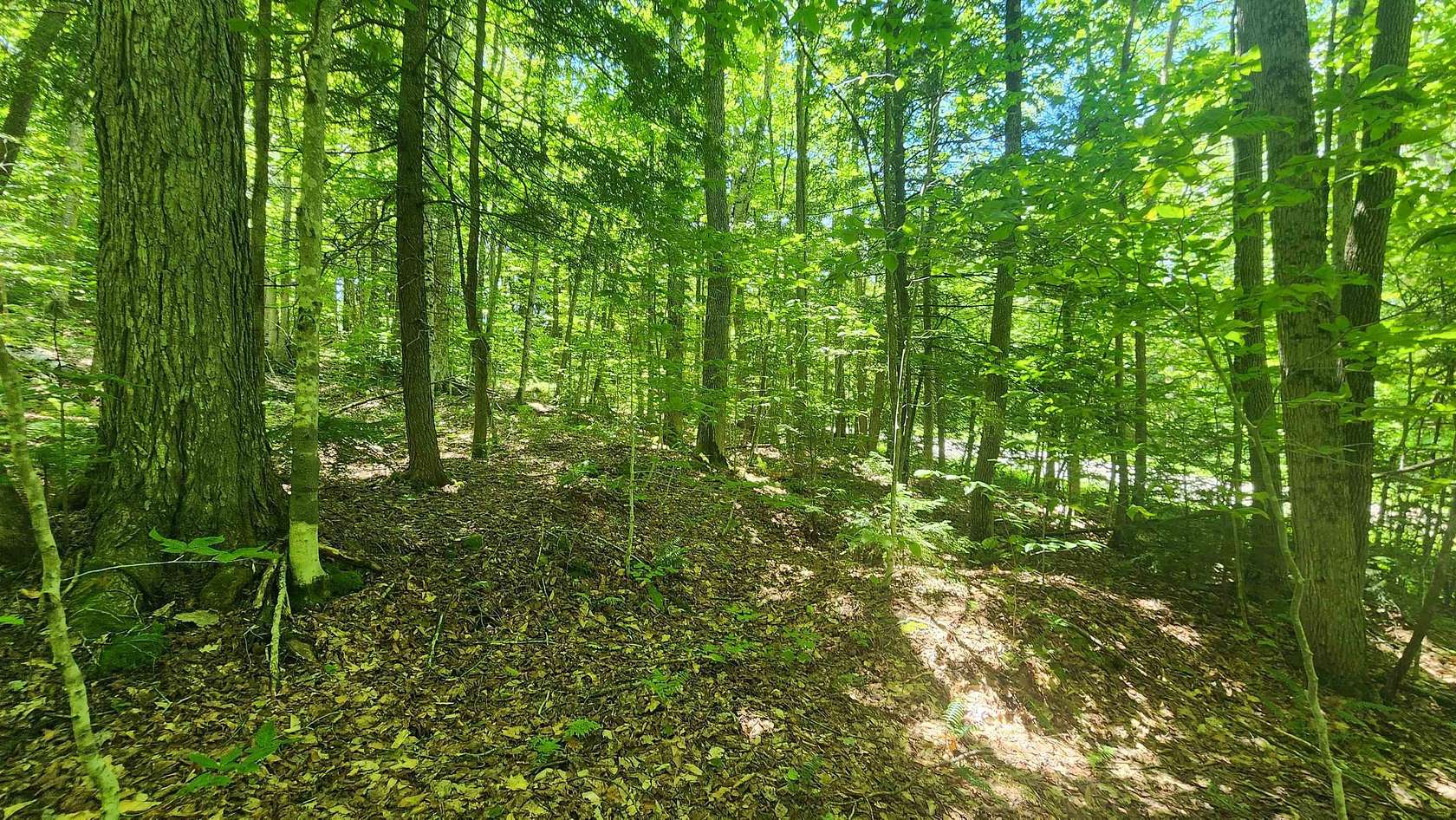 4 Acres of Residential Land for Sale in Andover, Vermont