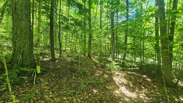 4 Acres of Residential Land for Sale in Andover, Vermont